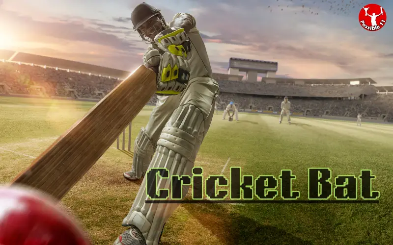 cricket bat