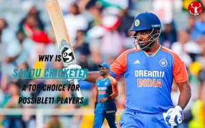 Sanju Cricketer
