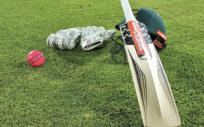 pak vs india cricket at possible11 body image